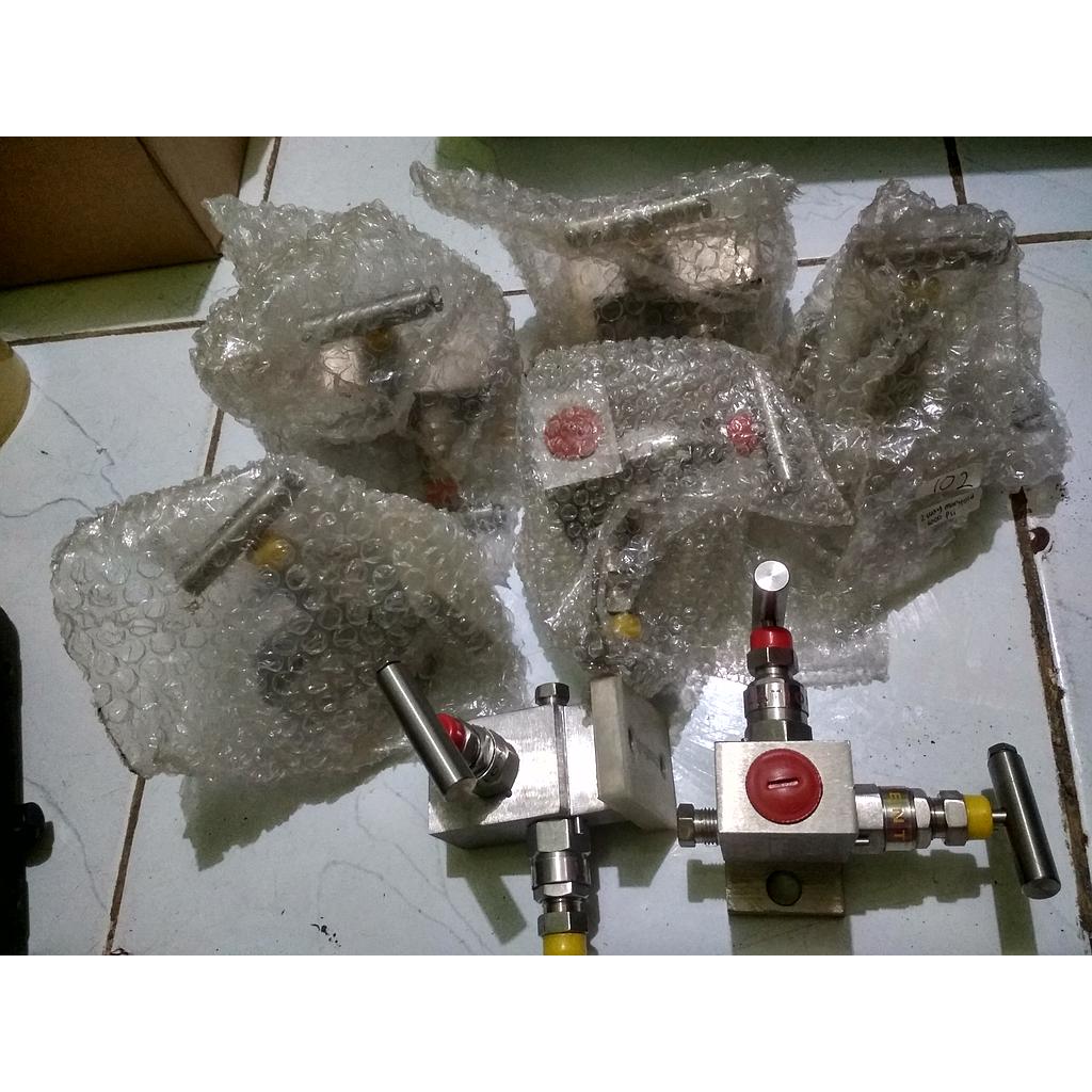 2 Way Manifold, Max Pressure: 6000 Psi, Body Material: SST 316, Brand: Excelock