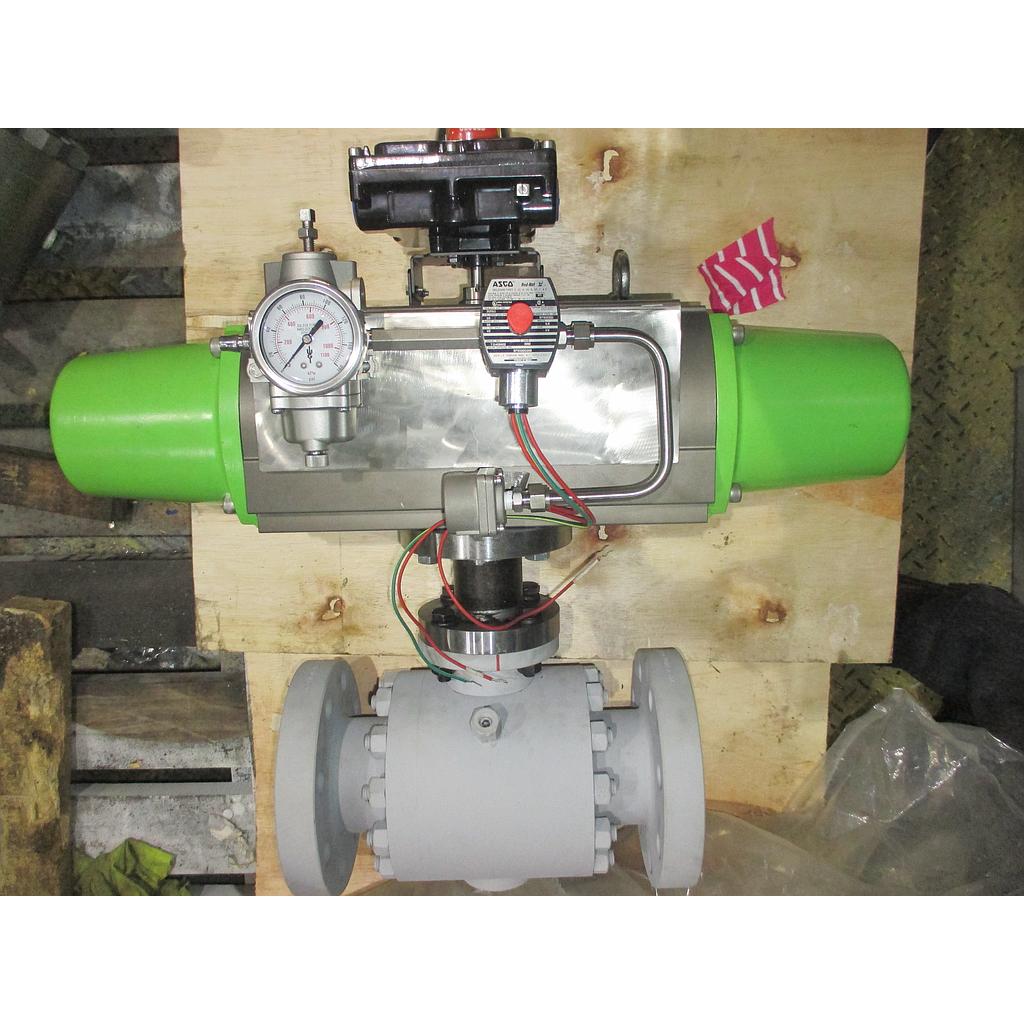 SO100491; Star Energy; SDV; 2006BVT-SY2016; 3" 600#RF FB; A105; 316SST; RPTFE; SA-140