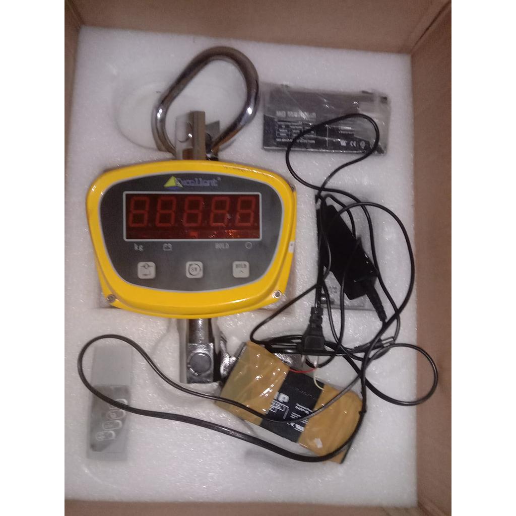 Electronic Crane Scale, Brand Excellent