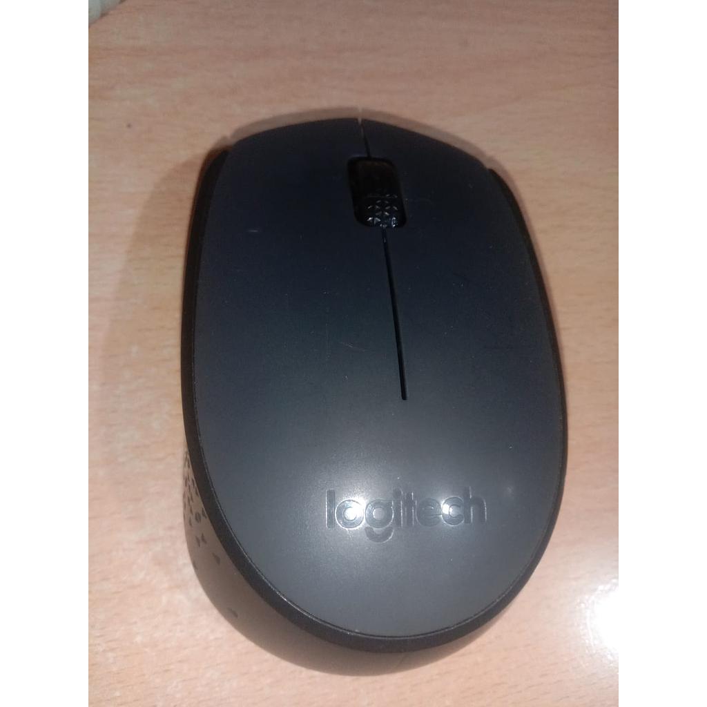 Mouse Logitech M171