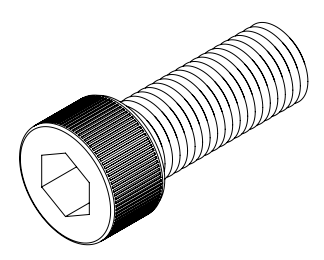 BAP R-SERIES [1301F/G]; Spring Case Cap Screw
